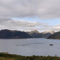 Sifjord