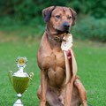 Zahabu Chigani Bakiri - In der Saison Cup Wertung bester Rüde des  Club E.L.S.A  und auch zweitschnellster Hund von allen teilnehmenden Hunden!