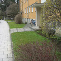 Vorgarten vorher