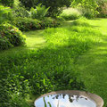 Vögel-Pool