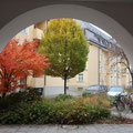 Blick durch den Durchgang 2022