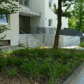 neue Hauserschließung
