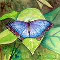 Apparent freedom, watercolor