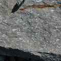 "Pteropoden-Pflaster" im "Oberen Zementmergel", liegend der "Sandsteinbank"; Mergelbruch (Photo Heyng 2003)