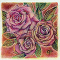 「pink rose」パステル画　2015年　個人蔵