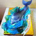 Дельфин 4 кг