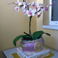 Орхидея 8 кг