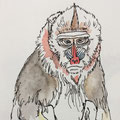 water colour & pen