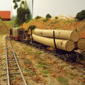Selbstverständlich gibt es auch Holztransporte bei meiner Feldbahn