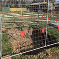 2021 08 13 Ground 1 DTL traphouse has gone!