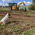 2021 08 13 Pippa Crittenden seems worried that her stash of bones might inadvertently be uncovered.