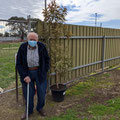 2021 08 11 Ernie likes to keep an eye on the gift the club gave him for his 100th birthday. The tree, not the fence.