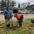 2022 09 21 Anton & Matt Motha building the pine log fence on Ground 2.