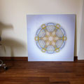 Lebendiges Mandala aus der SOFT LINE in Privaträumen, Echtfoto hinter Acrylglas, Format 90 x 90 cm, © Susanne Barth