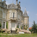 hortensias ornant l'escalier