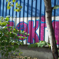 Aoki