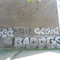GZZ Cesk