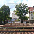 Raice