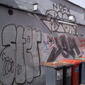 Ster Jam