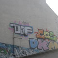 DSF CBS DKM