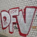 DFV