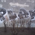 Plak
