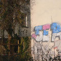 Ser
