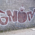 Gnom