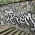 Trem