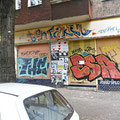THC ESA