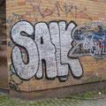 Salk