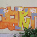 Dart