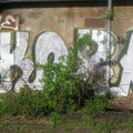 Kora