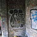 Irg