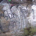 Limp
