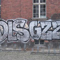 DLS GZZ