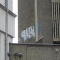 Palm