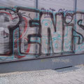 Penis