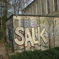 Salk