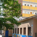 Sazo