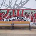 Zauer