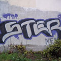 Ster
