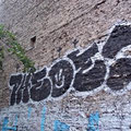 Pheoe