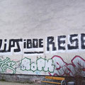ZIPS Iboe Rese Tue89 ENE