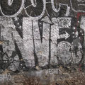 NVE