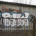 Pyko