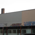 Tomcat Salk Duko