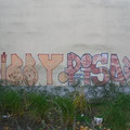 Dizzy Pisa