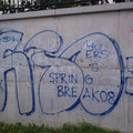 Fiso