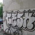 Cesk